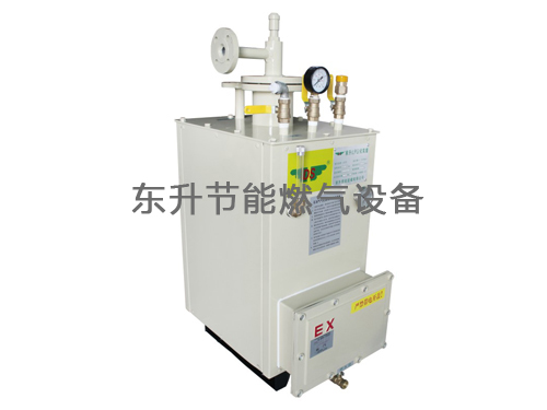 香蕉视频入口(LPG)防爆型香蕉视频在线下载器(DS30—50kg／h)
